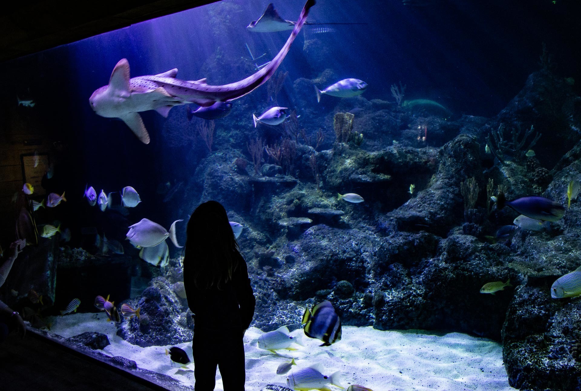 Skegness Aquarium Walk The England Coast Path
